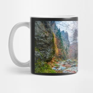 Canyon in mountains Mug